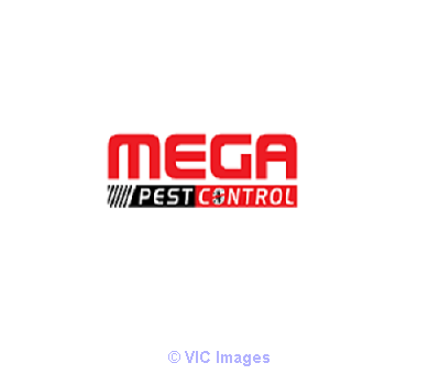 Ants Control Services In Langley