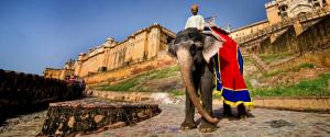 3 DAYS GOLDEN TRIANGLE TOUR