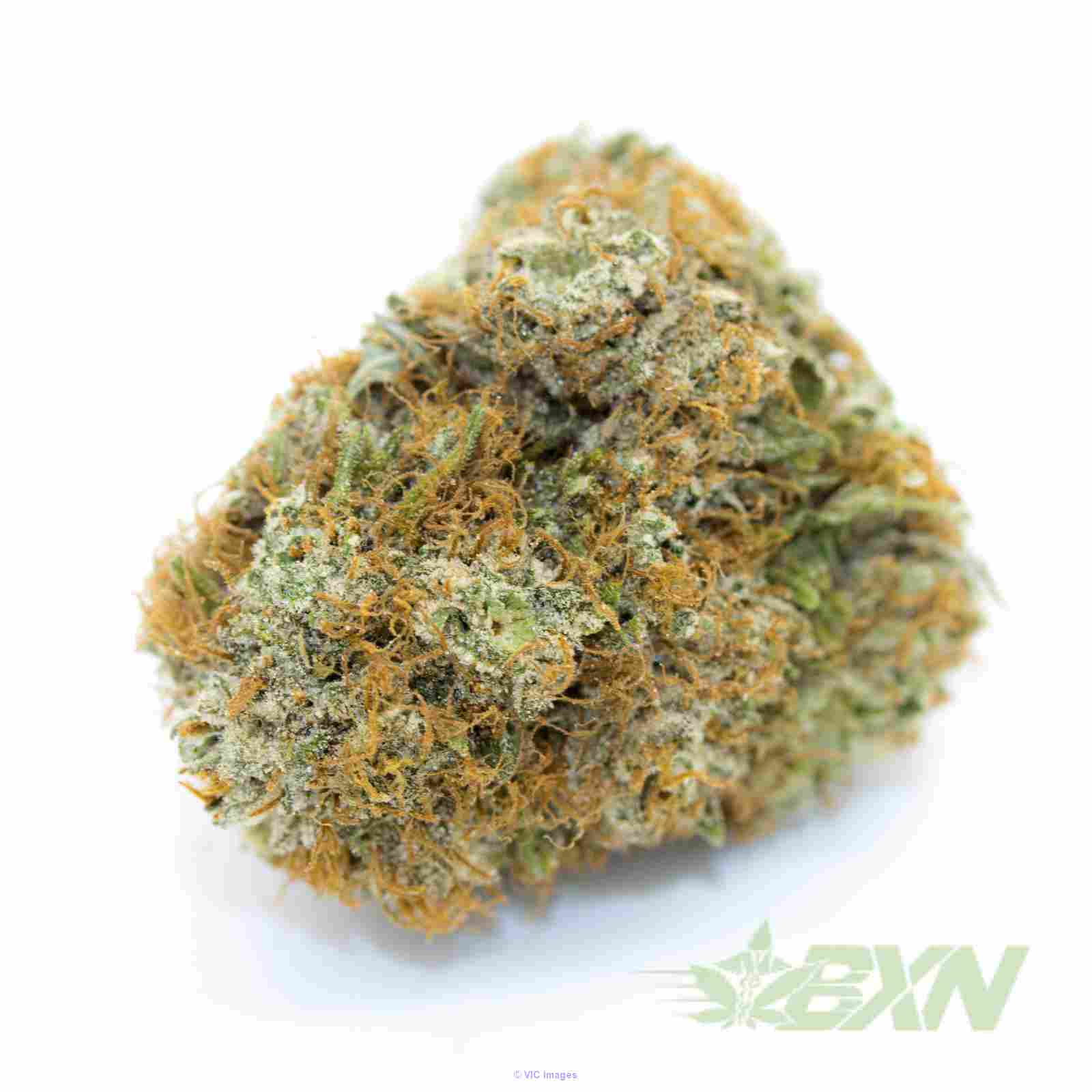 OG Kush – ON SALE ($119/Oz), SPECIAL PRICE,