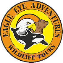 Eagle Eye Adventures
