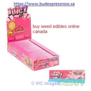 Juicy Jay’s Flavored Rolling Papers – Cotton Candy (1 1/4 SIZE)