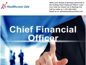 Chief Financial Officer Mailing List | CFO Email List