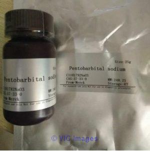 Purchase Nembutal No Prescription for human and veterinary use