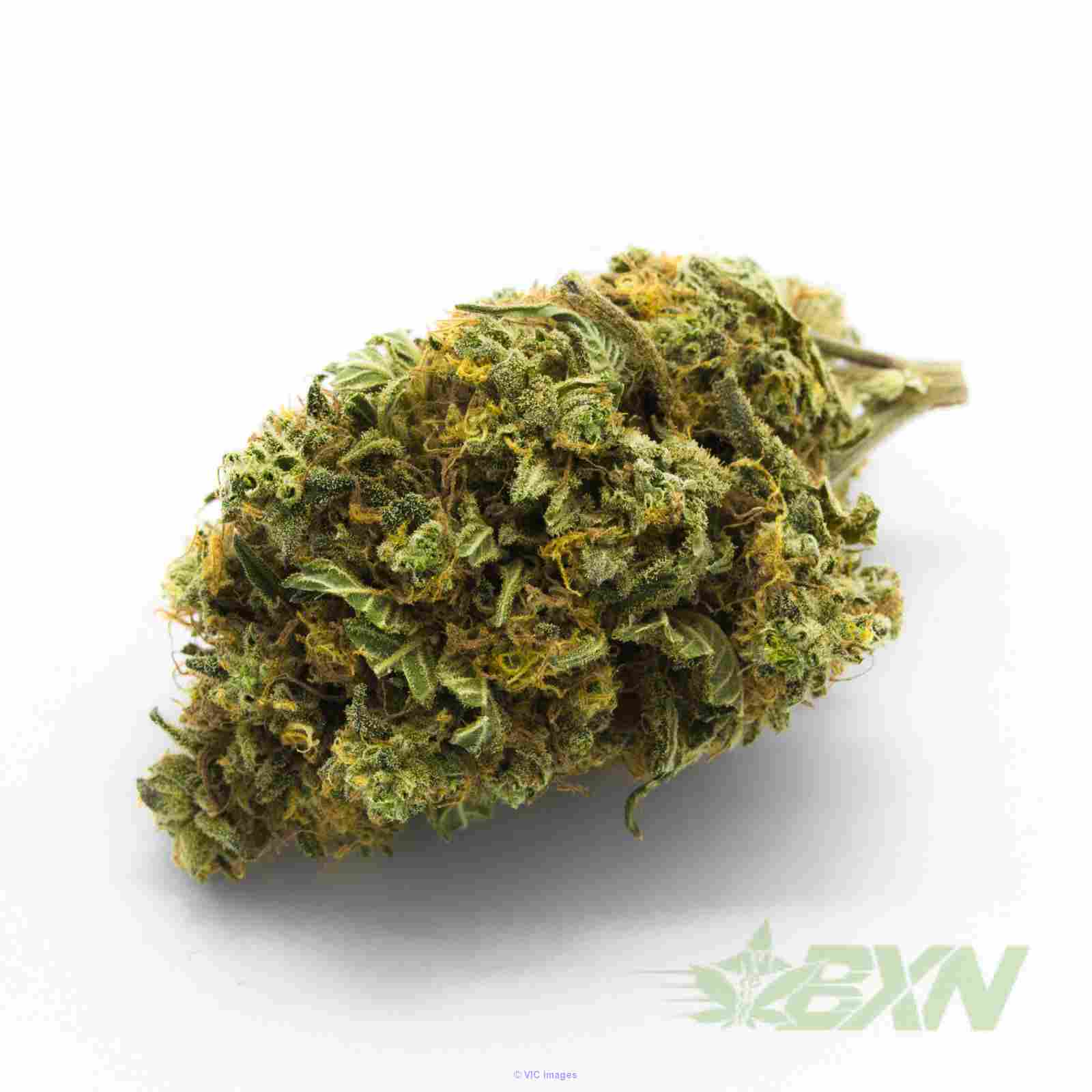 King Louis XIII – ON SALE ($125 / OZ)