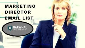 Buy Marketing Director Email List And Amplify Your Business Sales