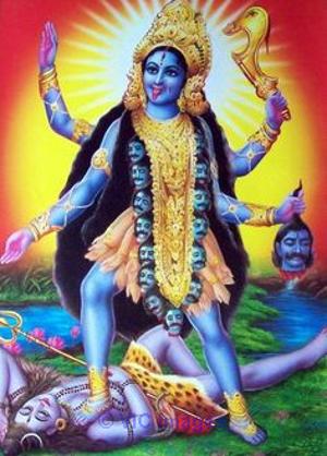 Love Astrologer Solution BY Master Aditya Ji