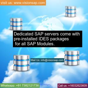 SAP Remote Server Access