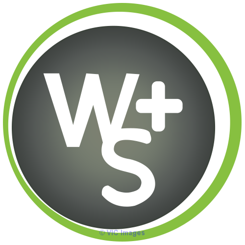 Web Design & Development Services - Web Strategy Plus