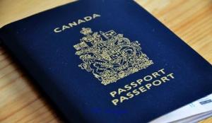 passport driver , driver license and id card