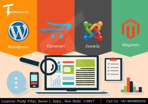 CMS Framework India Wordpress Development Services in Saket  Delhi