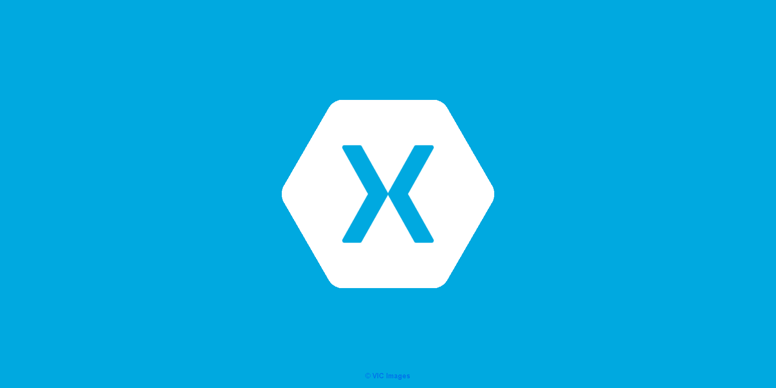 Why Hire Champion Xamarin Developers 