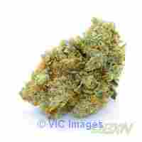 Alpha Blue - A high-flying sativa that combines Blue Dream and Sour Di