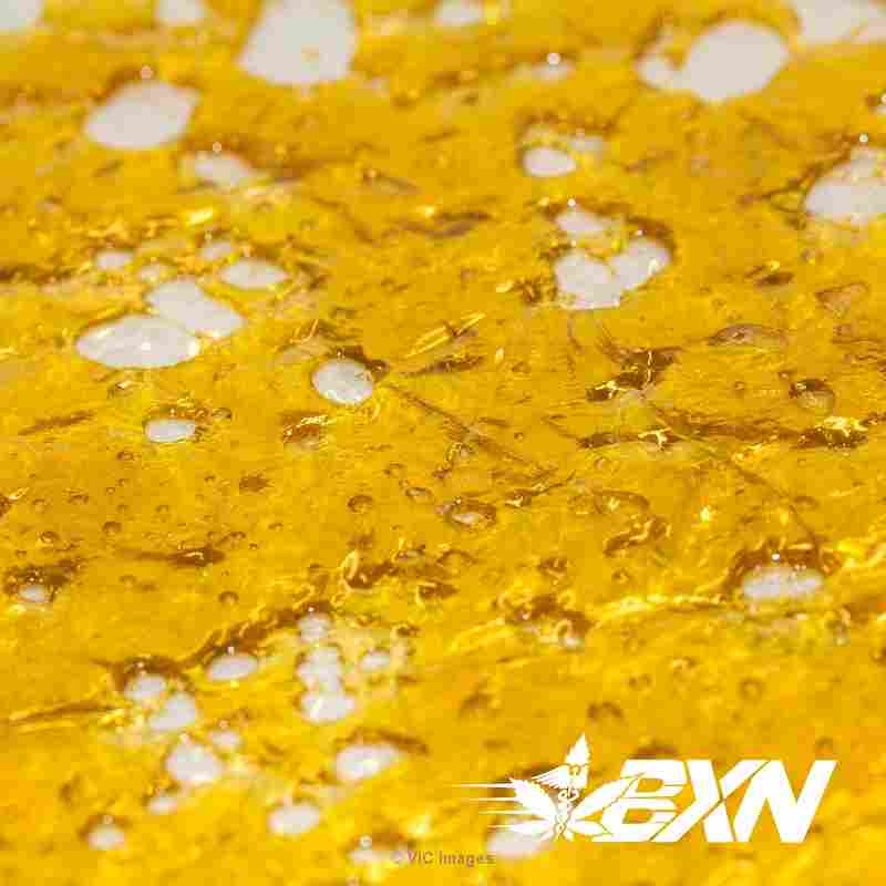 Quantum Extracts Shatter - Strawberry Cough (Sativa) - BudExpressNOW.c