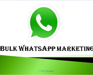 services for whats app bulk messages.