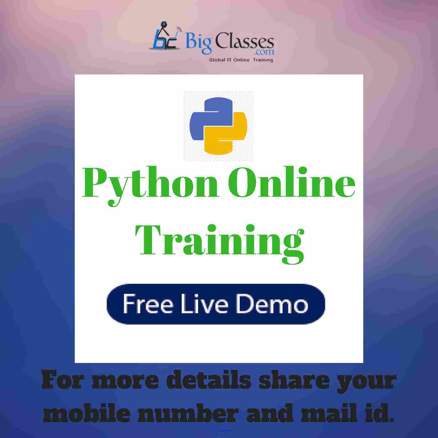 The Best Python Online Training