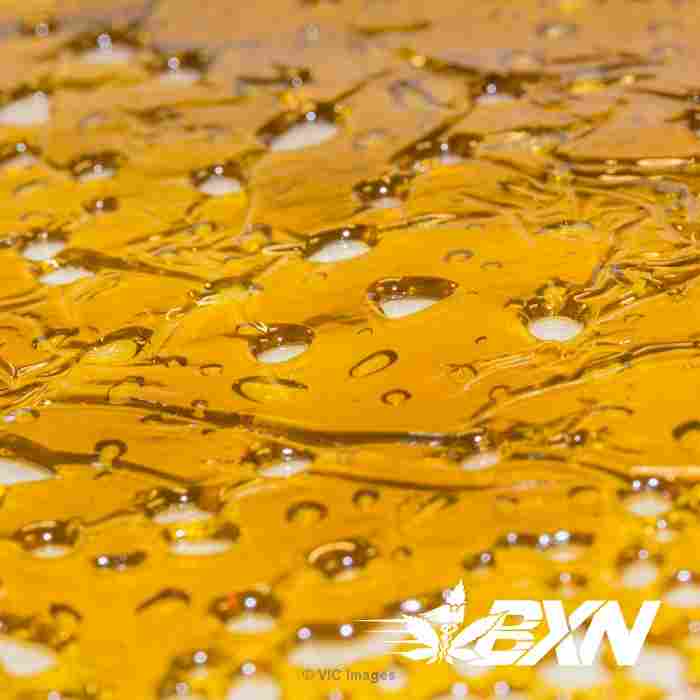 Quantum Extracts Shatter – Super Silver Haze - BudExpressNow.ca