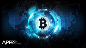 Introduction to Bitcoin Free Course