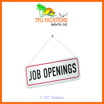 New Tourism Industries Hiring Candidates for Online Promotion
