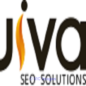Best SEO Company in Toronto | Jiva SEO