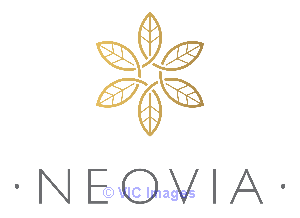 NEOVIA Home Care for Seniors