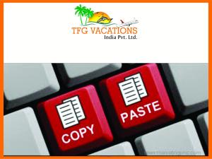 Digital Marketing Executive Jobs In TFG