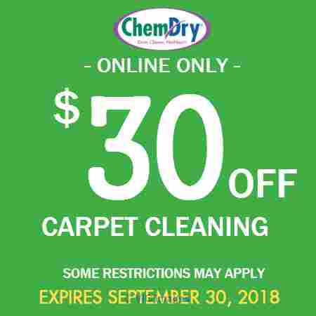 upholstery cleaning service