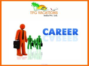 Part time Work Available in a Tours and Travels Company Earn up to 800