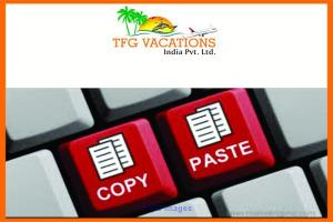 Digital Marketing Executive Jobs In TFG