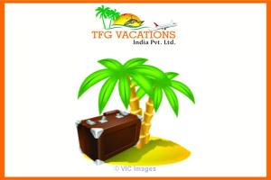 Great opportunity To Promote Tourism Part Time Online