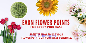 Flower Bouquet Arrangement | Flower Bouquet Price