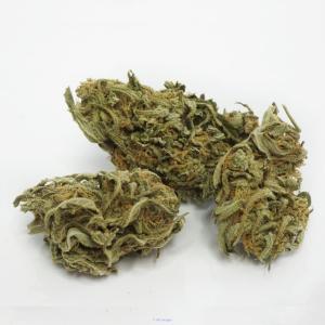 Buy Weed Online Winnipeg, Manitoba