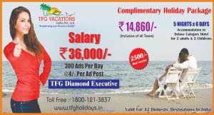 Marketing Jobs For Fresher Only