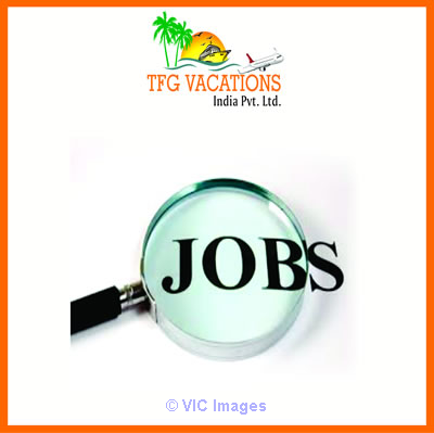 Income Platform In Tourism Company Candidate Required 