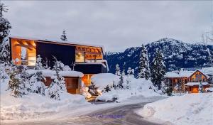 Why Pick Ontario for Your Next Winter Vacation