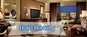 Get Discounted Deals on VirgoTrips Flight,Hotels & Holiday Tickets