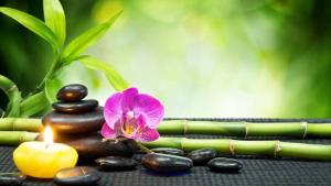 Feel Refreshed by getting Female to Male Body spa in Andheri Mumbai