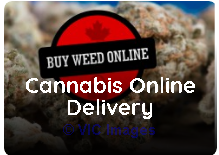 Dispensary Toronto