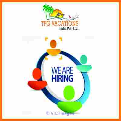 Online Marketing Work in Tourism Company Required Fresher