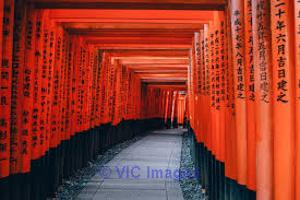 Cours particuliers de JAPANESE for JLPT, Travel, Business, Conversatio
