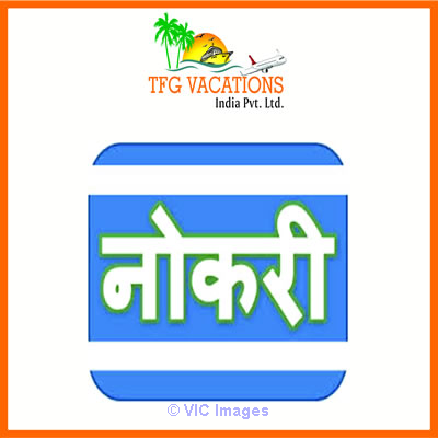 Tourism Company Required Online Promoter