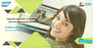 SAP S/4  HANA Online Training | Lael Pro Solutions