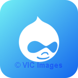 Best Drupal development agency