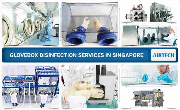 Glovebox Services Singapore