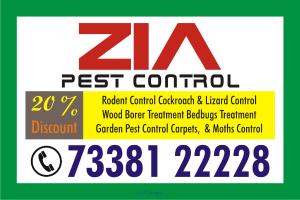 Zia Pest Control Service Bed Bug and Cockroach Service