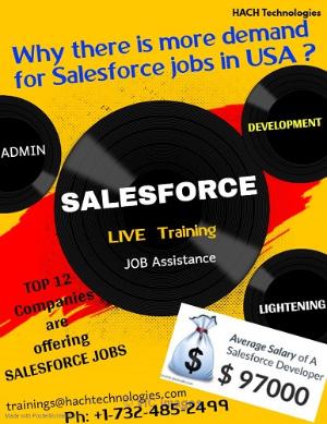 Sales Force Online Training in Arizona
