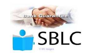 We are direct providers of Fresh Cut BG, SBLC