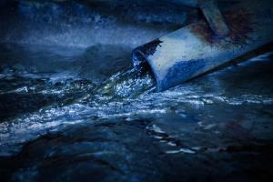 Trust Canada's Most Diversified Lead Supplier