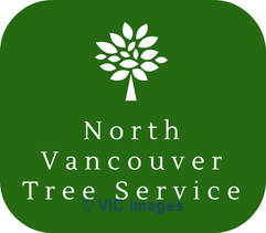 North Vancouver Tree Service