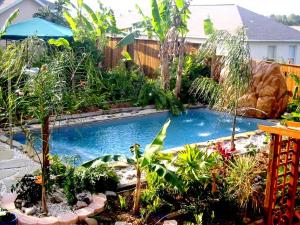 Best Fiberglass Swimming pool construction in Toronto
