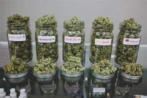 1lb OG Kush Buddha. Delivery text +16099484042